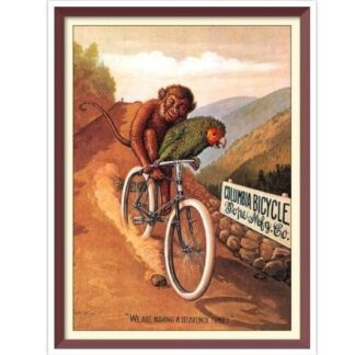 Vintage Columbia Bicycle Cross Stitch Pattern: Monkey & Parrot (PDF Pattern)