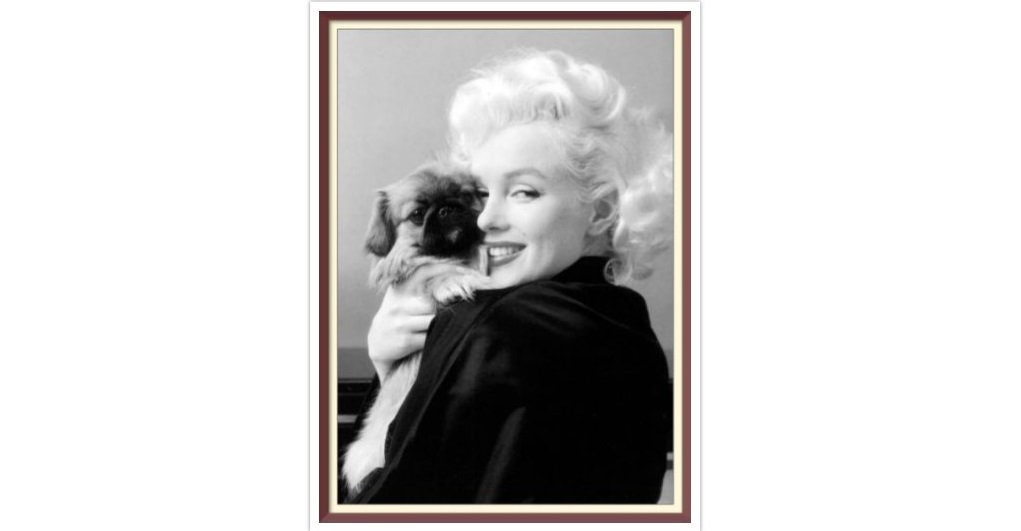 Marilyn Monroe - Cross Stitch Pattern - PDF Counted Vintage Full Cross Stitches - 4 Sizes